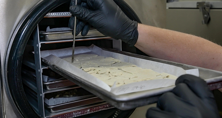 ТЕХНОЛОГИЧЕСКИЕ ПРОЦЕССЫ ЛИОФИЛЬНОЙ СУШКИ