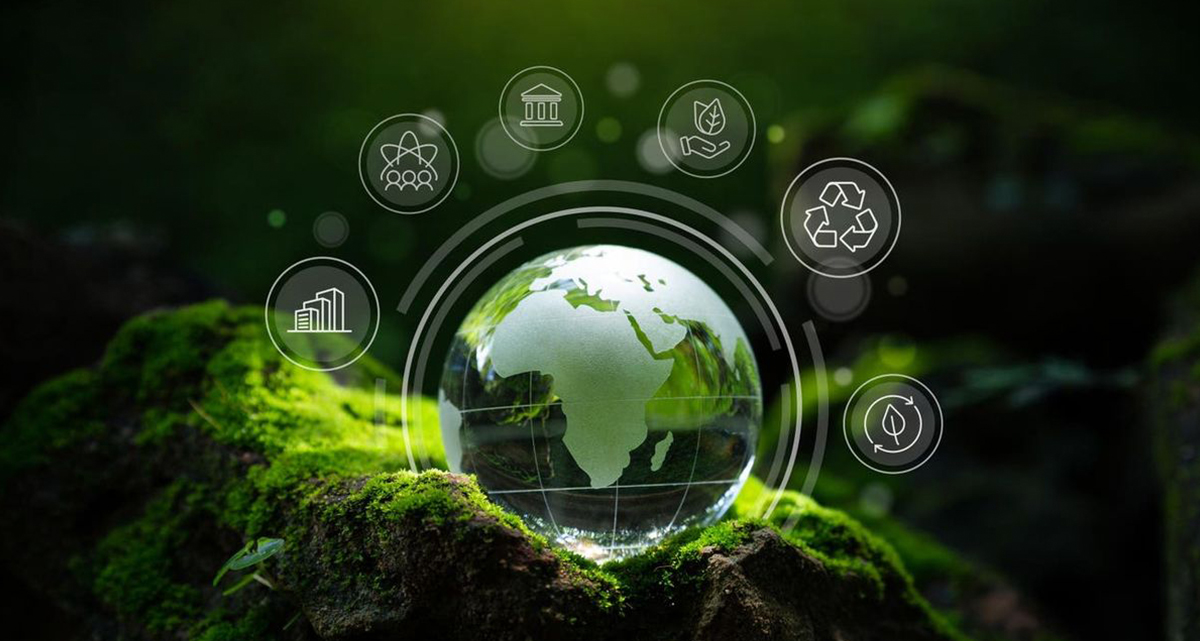 Sieno Freeze-drying Technology Research Institute (Jiangsu) Co., Ltd