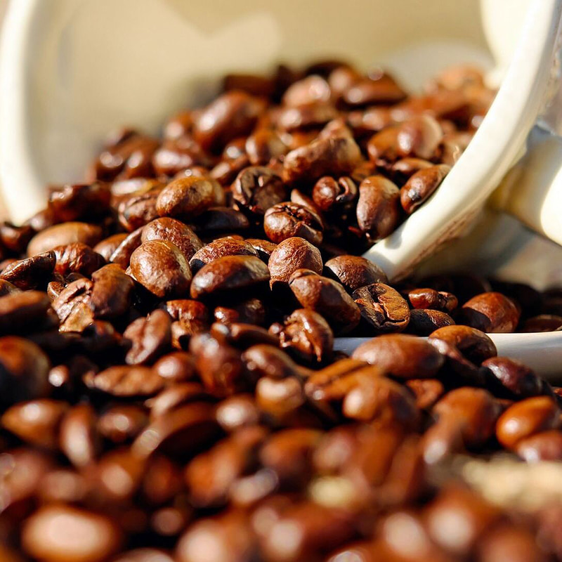 Вакуумная лиофильная сушильная установка для кофе