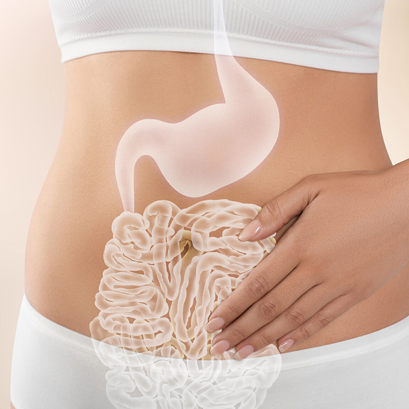 Низкотемпературная центрифуга для лиофилизированных продуктов здоровья ЖКТ