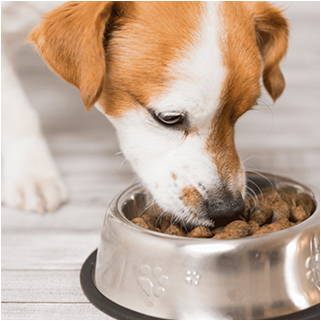 Sieno Freeze-drying Technology Research Institute (Jiangsu) Co., Ltd