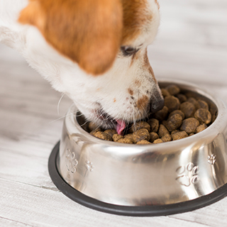 Sieno Freeze-drying Technology Research Institute (Jiangsu) Co., Ltd