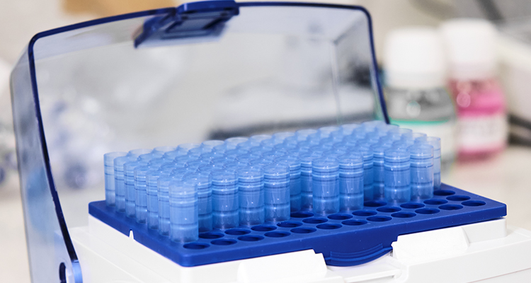 ПОРТАТИВНЫЕ УСТРОЙСТВА ДЛЯ ЛИОФИЛЬНОЙ СУШКИ